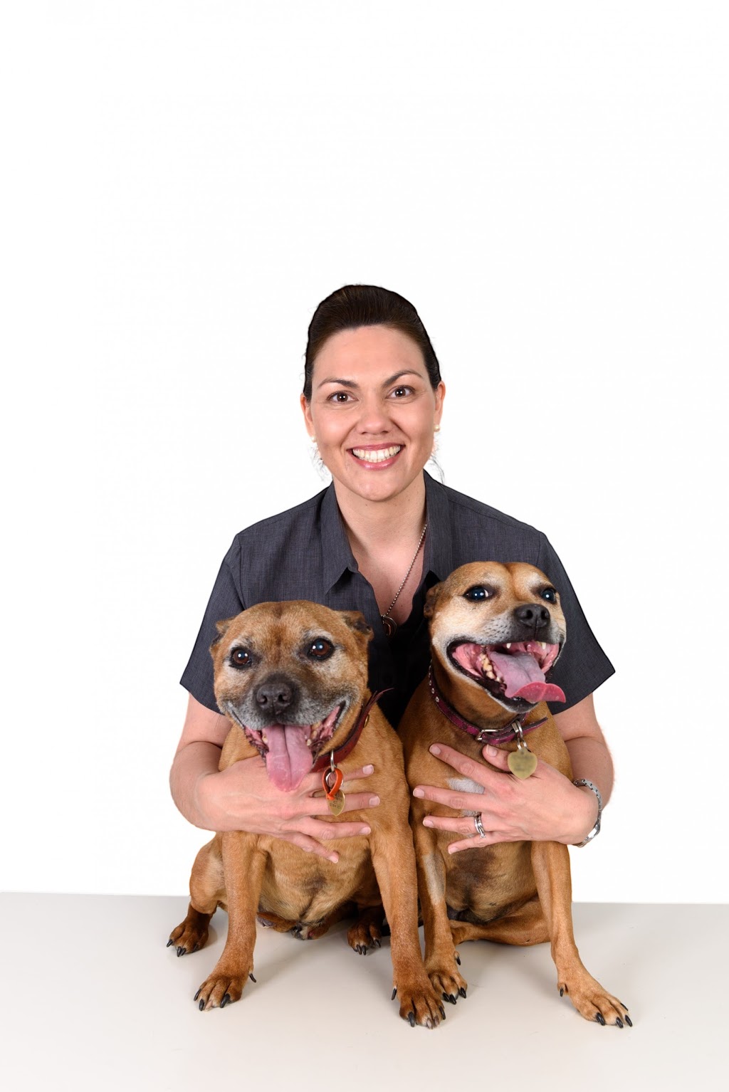 Warrandyte Veterinary Clinic | 91 Melbourne Hill Rd, Warrandyte VIC 3113, Australia | Phone: (03) 9844 3071