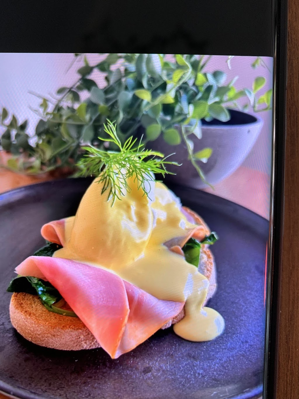 Cafe @ Hansford Flowers | 58 Hansford Rd, Coombabah QLD 4216, Australia | Phone: (07) 5529 6334