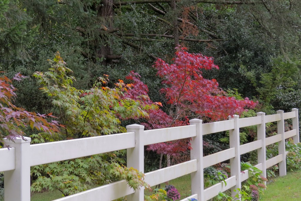 Singing Gardens of CJ Dennis and Tearooms | 1694 Healesville-Kinglake Rd, Toolangi VIC 3777, Australia | Phone: (03) 5962 9282