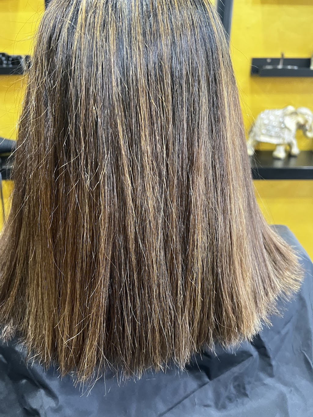 Exotic Indian Beauty - Riverstone | 1 Garfield Rd E, Riverstone NSW 2765, Australia | Phone: 0420 899 054
