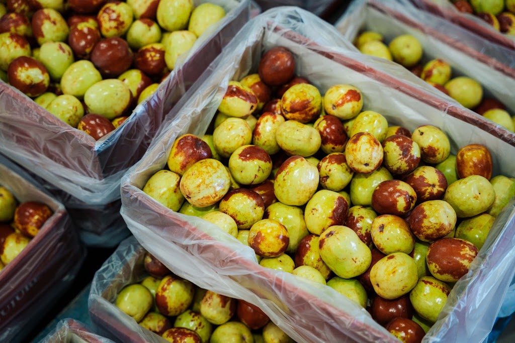 Royal Jujube | Lakes Rd, Lake Wyangan NSW 2680, Australia | Phone: 0474 731 504