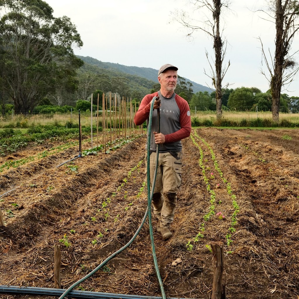 Small Patch Smoko | 1753 Great Alpine Rd, Smoko VIC 3741, Australia | Phone: 0435 079 890