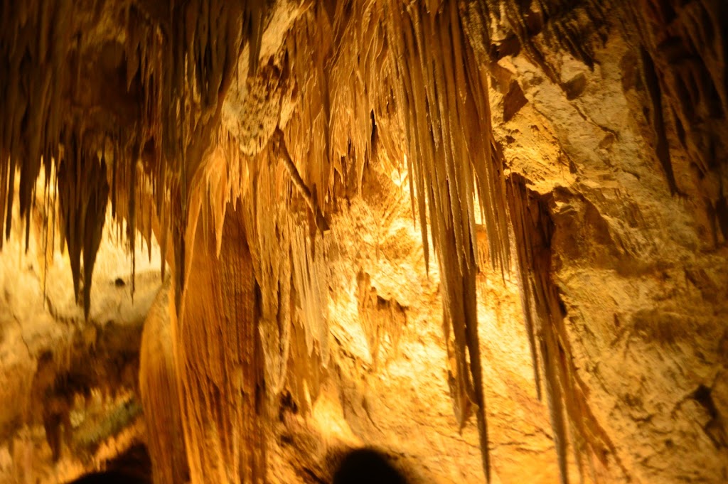 Hastings Caves and Thermal Springs | 754 Hastings Caves Rd, Hastings TAS 7109, Australia | Phone: (03) 6298 3209