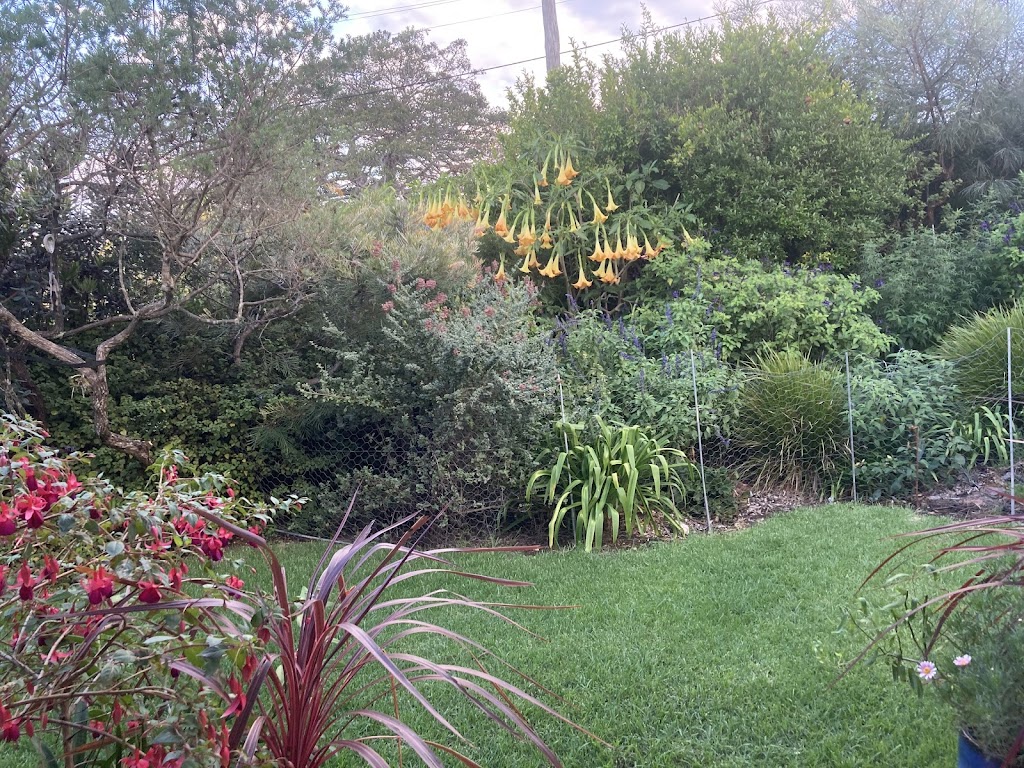 Botanical Boy Gardening Service | 15 Brighton St, Tuross Head NSW 2537, Australia | Phone: 0415 734 630