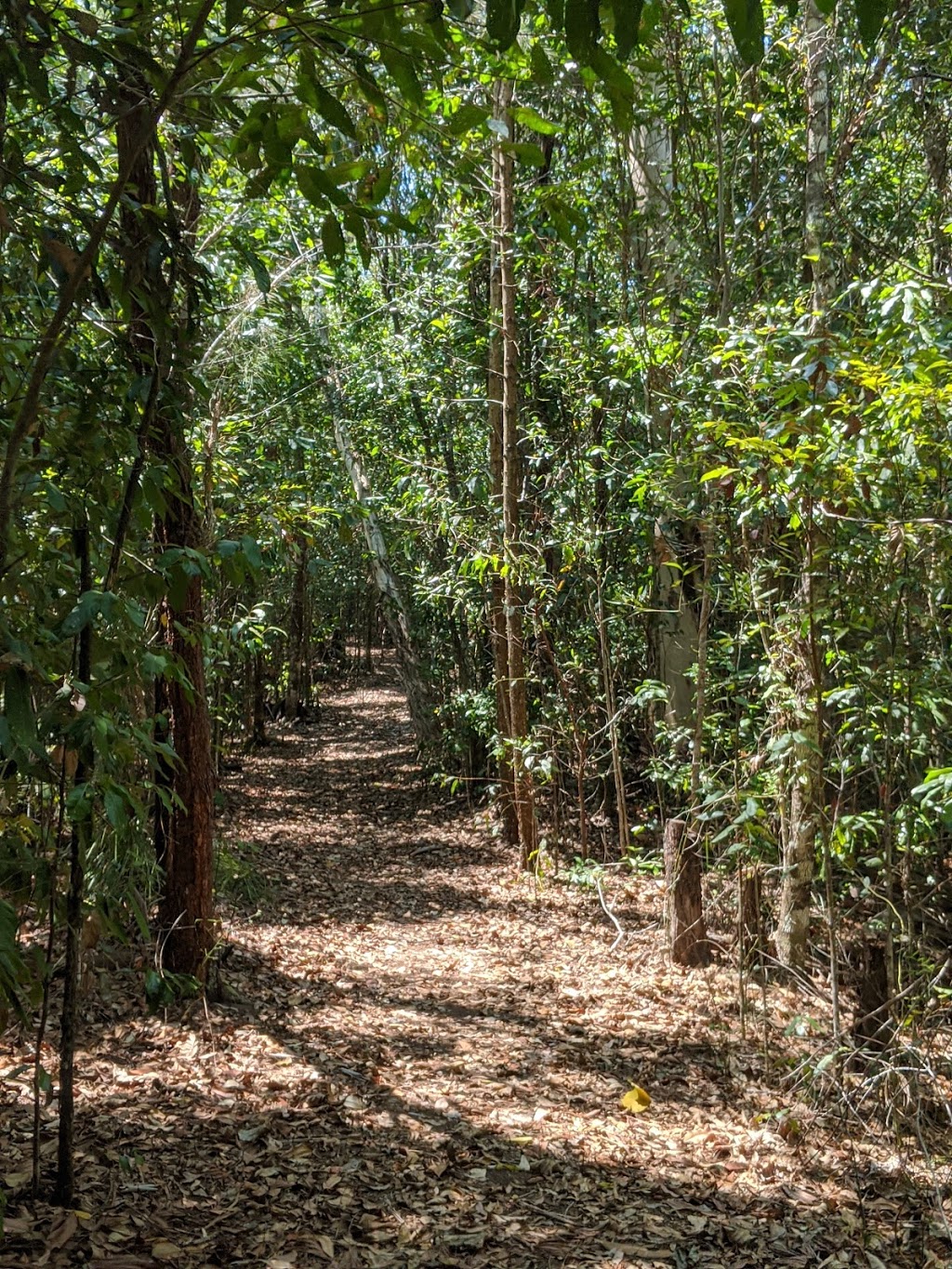 Girringun National Park | Lumholtz QLD 4849, Australia | Phone: 13 74 68