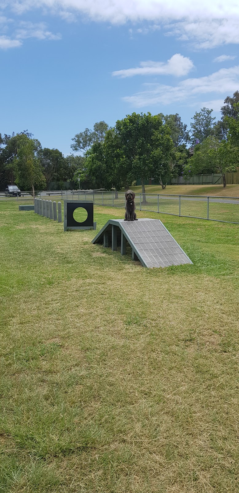 Frascott Park Large Agility Dog Park | park | 44 Frascott Ave, Varsity Lakes QLD 4227, Australia