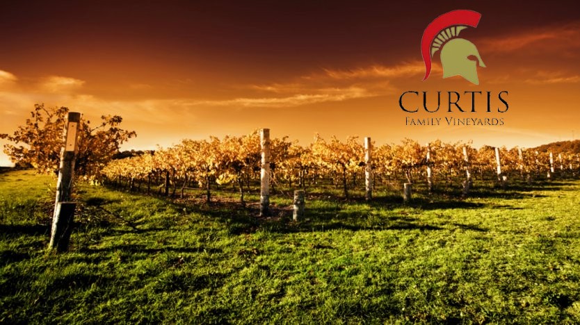 Curtis Family Vineyards | food | 514 Victor Harbor Rd, McLaren Vale SA 5171, Australia | 0439800484 OR +61 439 800 484