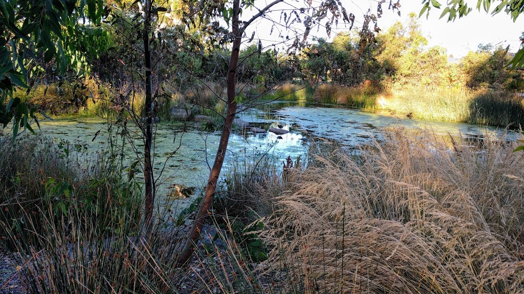 Laurimar Wetlands | park | Mollison Dr, Doreen VIC 3754, Australia