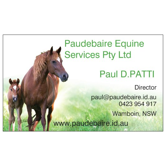 Paudebaire Equine Services | travel agency | 338 Weeroona Dr, Wamboin NSW 2620, Australia | 0423954917 OR +61 423 954 917