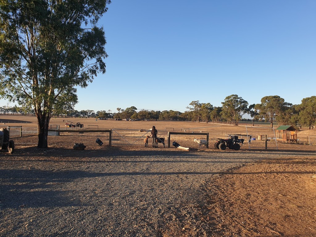 Sunny Acres Farm | lodging | 1353 Middle Rd, Rushworth VIC 3612, Australia | 0419518729 OR +61 419 518 729