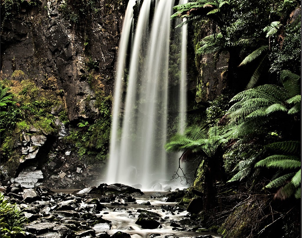 Steve Sheddick Photography | 123 Reservoir Rd, Sunbury VIC 3000, Australia | Phone: 0411 844 294