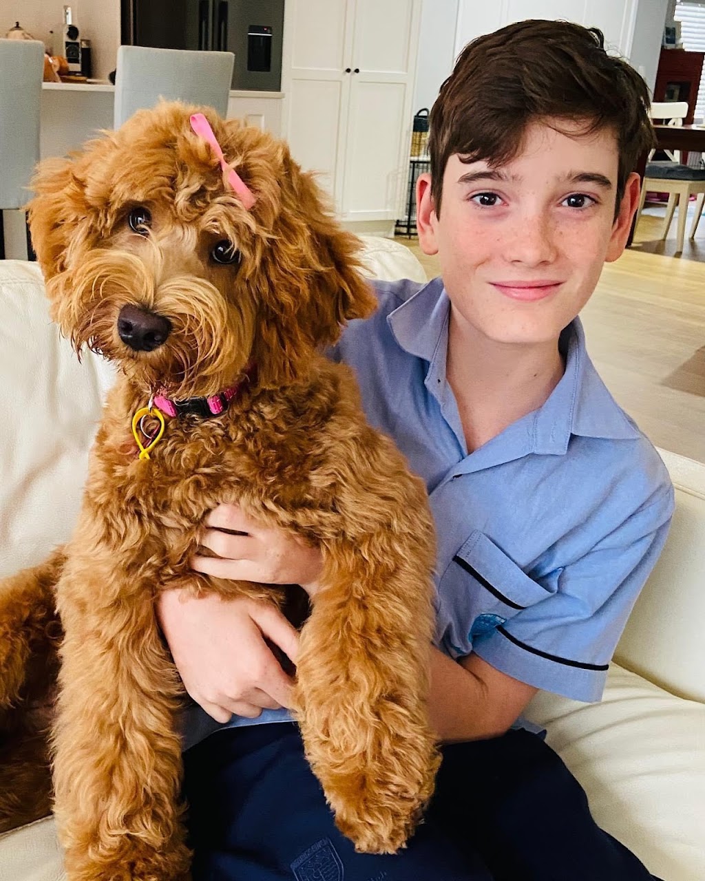 Misty Mountain Australian Labradoodles | 58-60 Siganto St, Tamborine Mountain QLD 4272, Australia | Phone: 0409 813 053