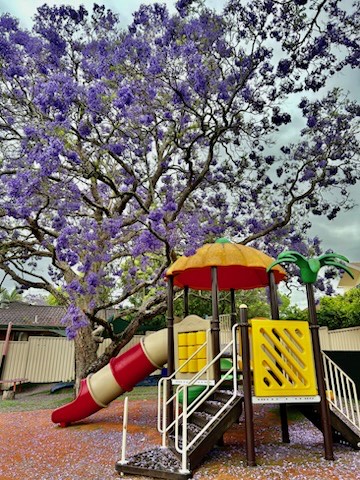 Bright Future Childcare | 52 Coronation Rd, Baulkham Hills NSW 2153, Australia | Phone: (02) 8850 6475