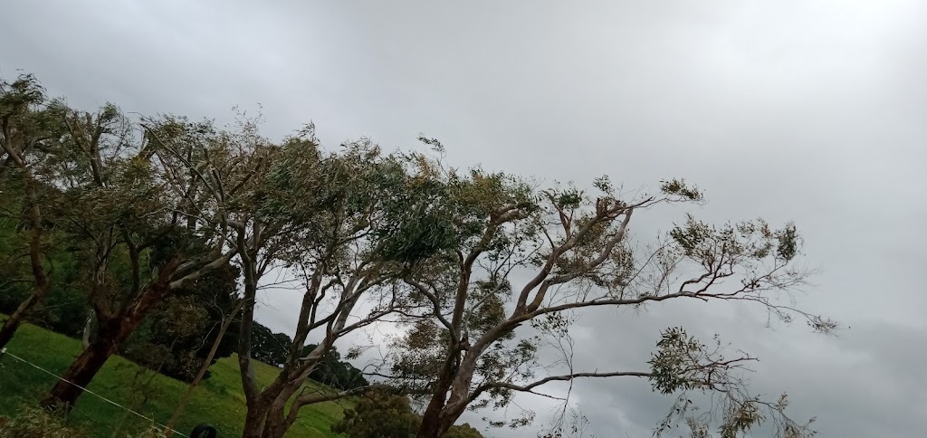 Active Tree Services Pty Ltd | 7/53 Jersey Rd, Bayswater VIC 3153, Australia | Phone: (03) 8873 3100