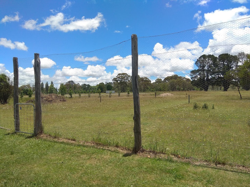 Ben Lomond War Memorial Hall | 1227/1239 Ben Lomond Rd, Ben Lomond NSW 2365, Australia