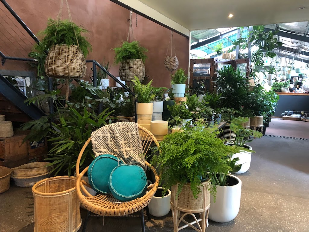 The Garden of Eden Nursery | 365 Ferrars St, Albert Park VIC 3206, Australia | Phone: (03) 9696 0551