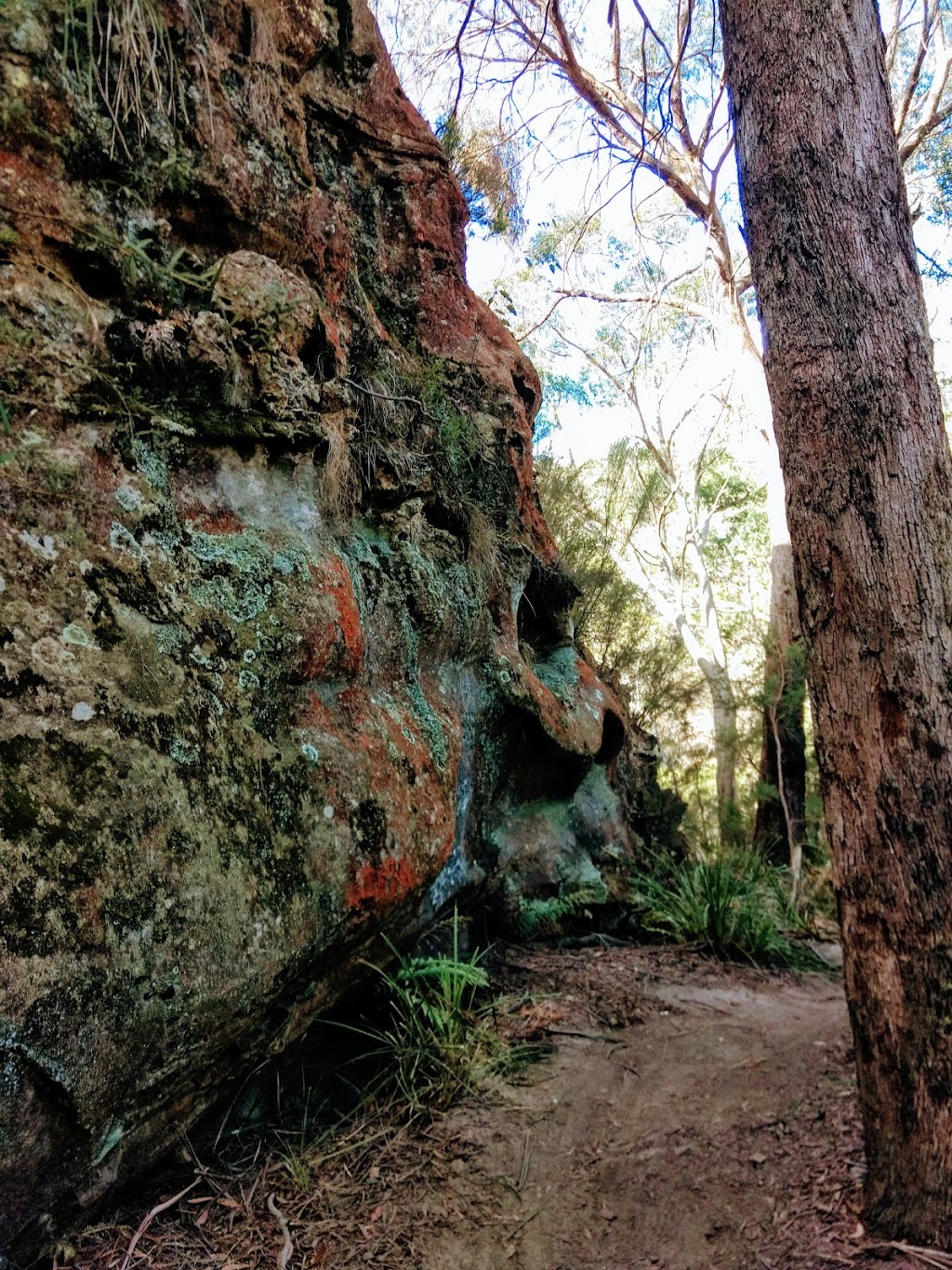 Welby MTB Trails | Meranie St, Welby NSW 2575, Australia