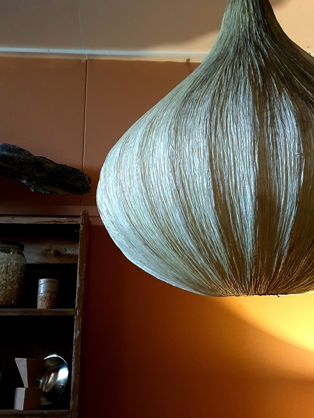 Eclectic the curious Plantman | 3988 Wingham Rd, Comboyne NSW 2429, Australia | Phone: 0477 056 395