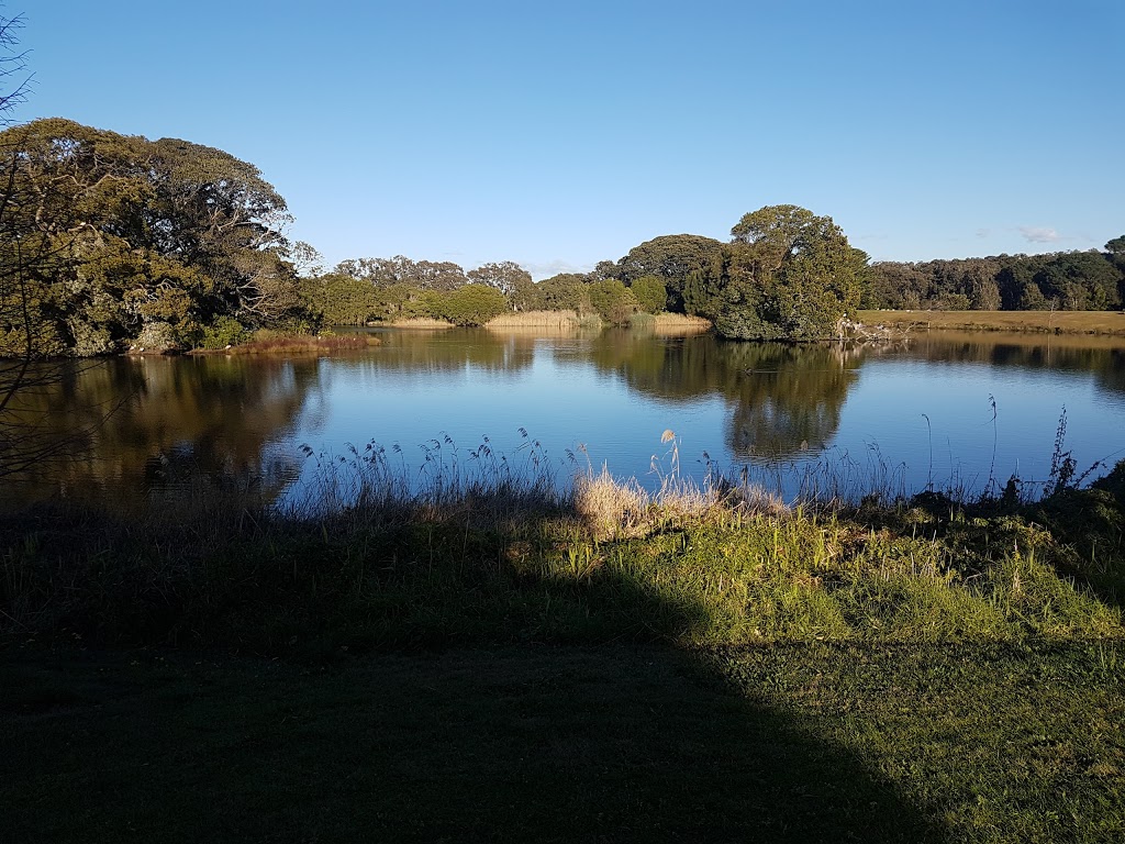 Tai Chi Sydney | Dickens Drive Centennial Park, Labyrinth, Sydney NSW 2021, Australia | Phone: 0415 689 638