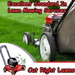 Cut Right Lawns in Jewells - Lawn mowing, Grass Cutting, Gardene | store | 105 Ntaba Rd, Jewells NSW 2280, Australia | 0408684664 OR +61 408 684 664