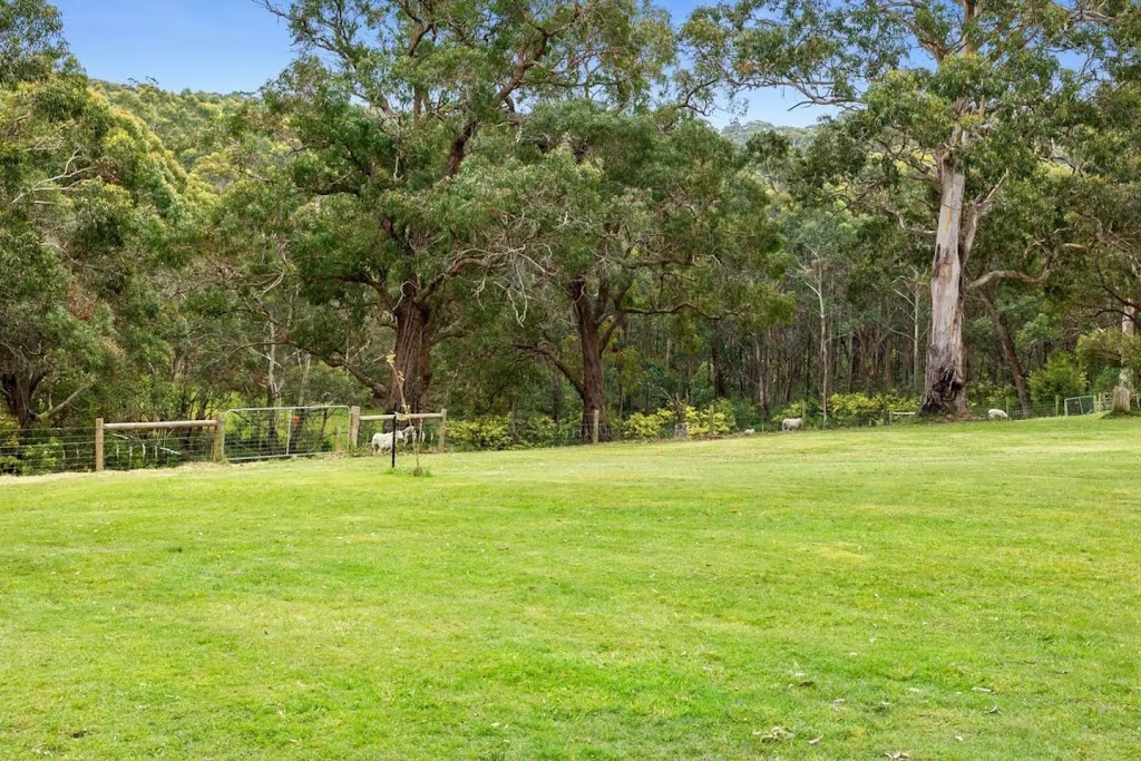 Runnymede Farm | 1700 Deans Marsh-Lorne Rd, Lorne VIC 3232, Australia | Phone: 0407 276 477