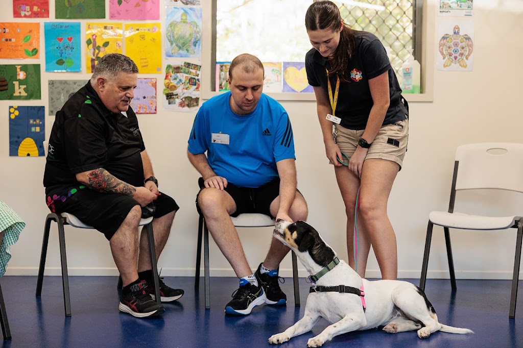 Happy Paws Happy Hearts | RSPCA Animal Care Centre Mackay Mount Bassett Cemetery Rd &, Yuwibara Country, Strickland Rd, Mackay Harbour QLD 4740, Australia | Phone: 1300 077 984