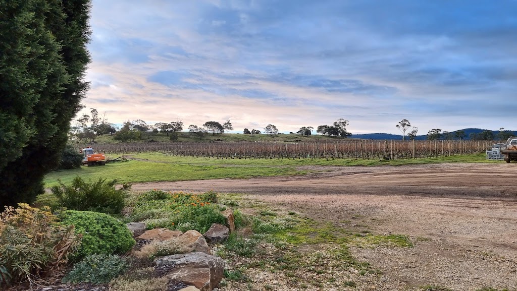 Holm Oak Vineyards | 11 W Bay Rd, Rowella TAS 7270, Australia | Phone: (03) 6394 7577