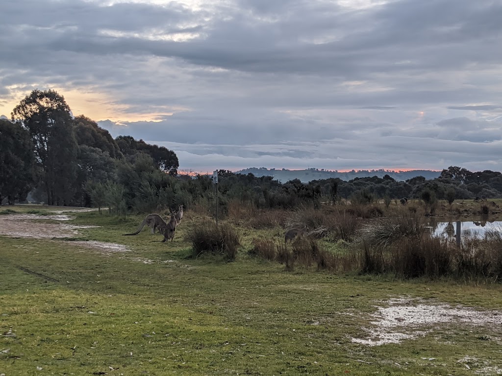 Northern Suburbs Fly Fishing Club |  | 649 Yan Yean Rd, Yarrambat VIC 3091, Australia | 0487337946 OR +61 487 337 946