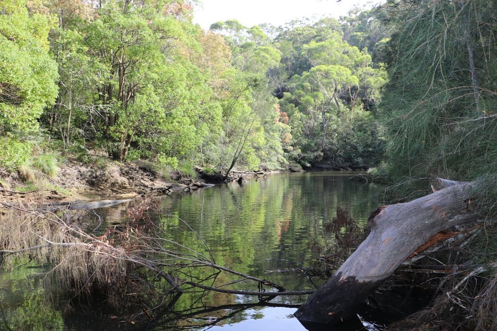 Stepping Stone Crossing | park | Middle Harbour Creek Track, St. Ives NSW 2075, Australia