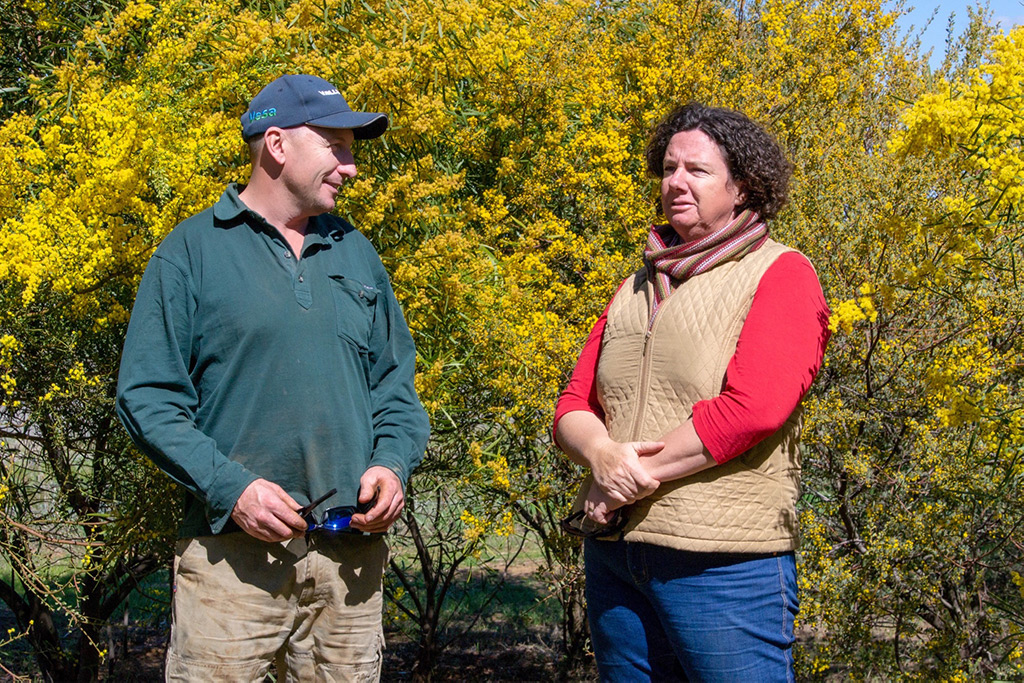 Riverina Revegetation |  | Rosewood Rd, Coleambally NSW 2707, Australia | 0428544215 OR +61 428 544 215