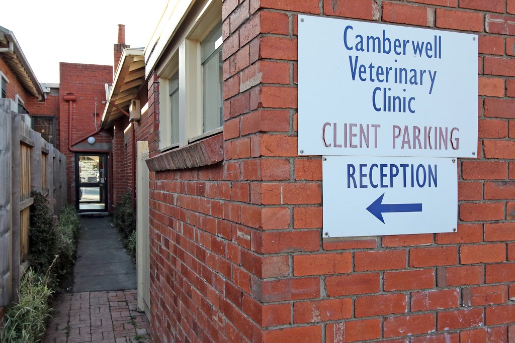 Camberwell Veterinary Clinic | 896-898 Riversdale Rd, Camberwell VIC 3124, Australia | Phone: (03) 9836 0536