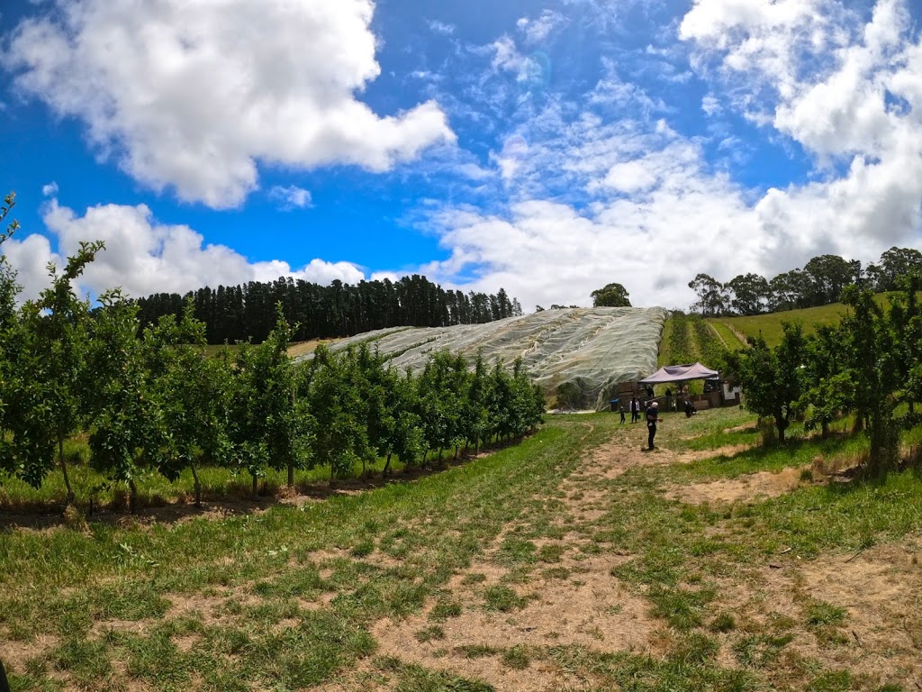 Everlong Orchard |  | 145 Plummers Rd, Forest Range SA 5139, Australia | 0431596370 OR +61 431 596 370