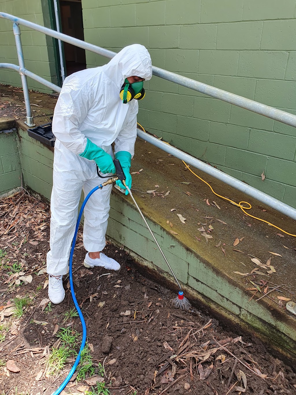 Terminate Pest Control | Halifax Way, Gledswood Hills NSW 2557, Australia | Phone: 0433 870 651