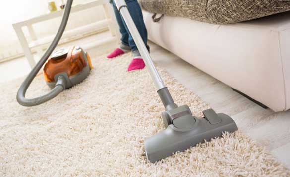 Arundel Carpet Cleaners | 5 Technology Dr, Arundel QLD 4216, Australia | Phone: (07) 5574 4022