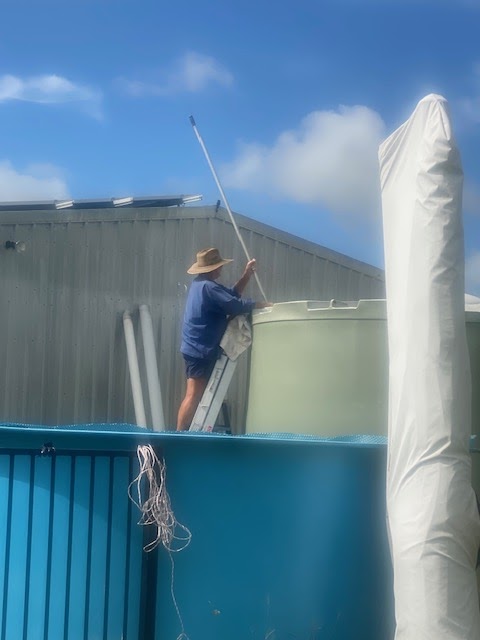 CLEAR WATER TANK CLEANERS | 30 Dodson Ln, Cawarral QLD 4702, Australia | Phone: 0447 008 289