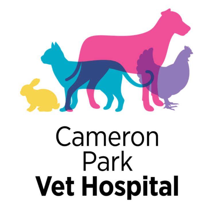 Cameron Park Vet Hospital | 2A Garth St, Edgeworth NSW 2285, Australia | Phone: (02) 4958 6635