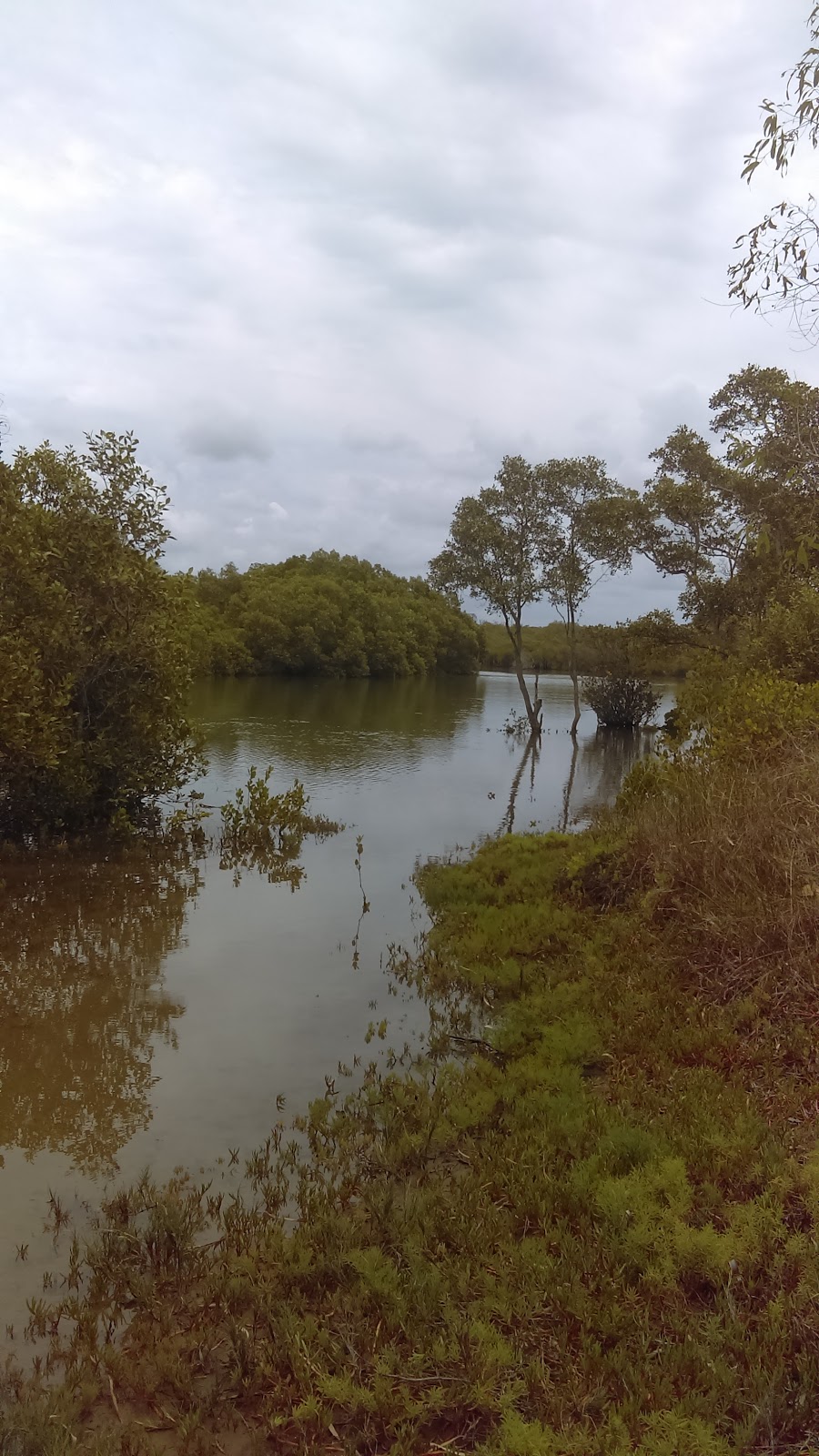 Water Front Park | park | Nudgee Beach QLD 4014, Australia