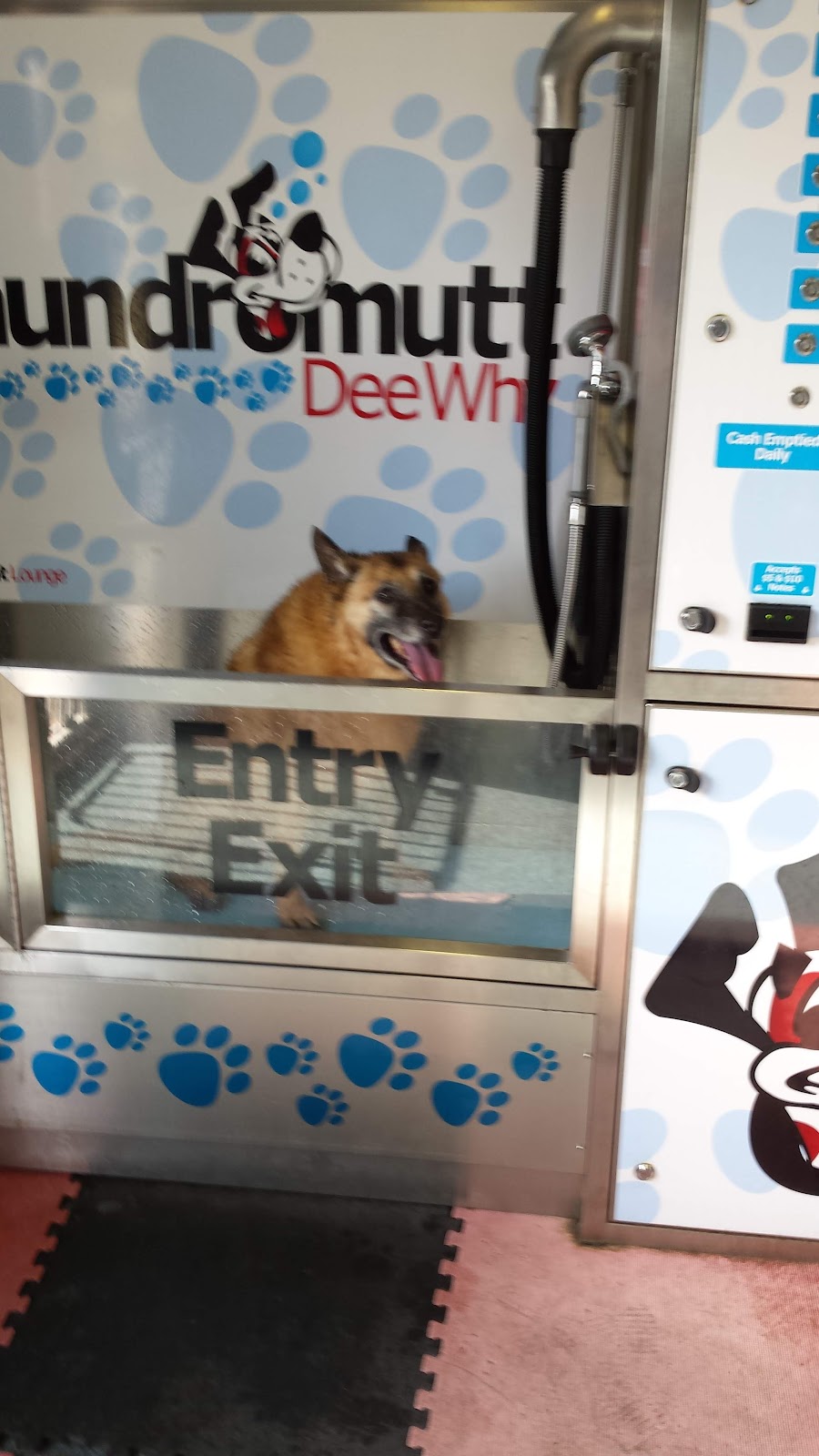 Laundromat Lounge Dee Why | 21A Mooramba Rd, Dee Why NSW 2099, Australia | Phone: 0493 864 625