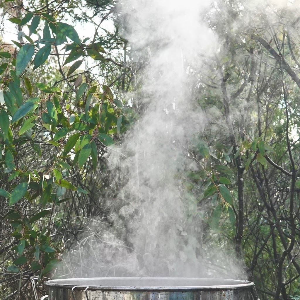 Snowy Mountains Eucalyptus Oil | Thornybush Rd, Moonbah NSW 2627, Australia | Phone: 0421 369 375