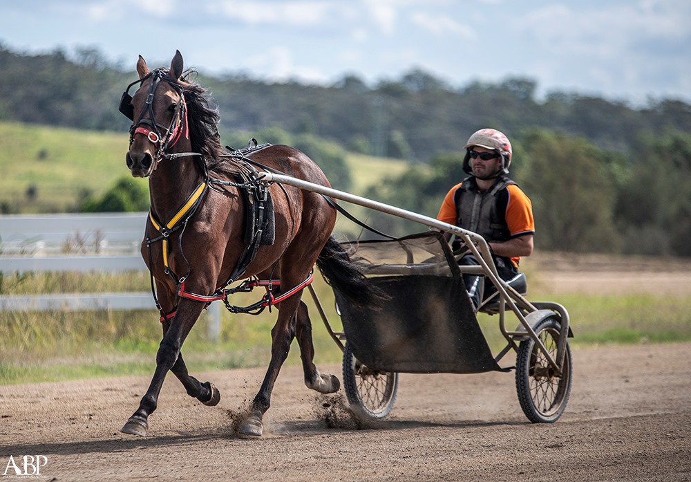 Darren j mccall stables | Lot 3 Menangle Rd, Menangle Park NSW 2563, Australia | Phone: 0426 820 891