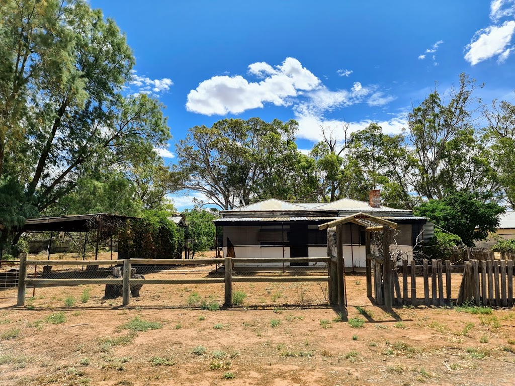 Yanga Woolshed | tourist attraction | 312 Windomal Rd, Balranald NSW 2715, Australia | 0350201764 OR +61 3 5020 1764