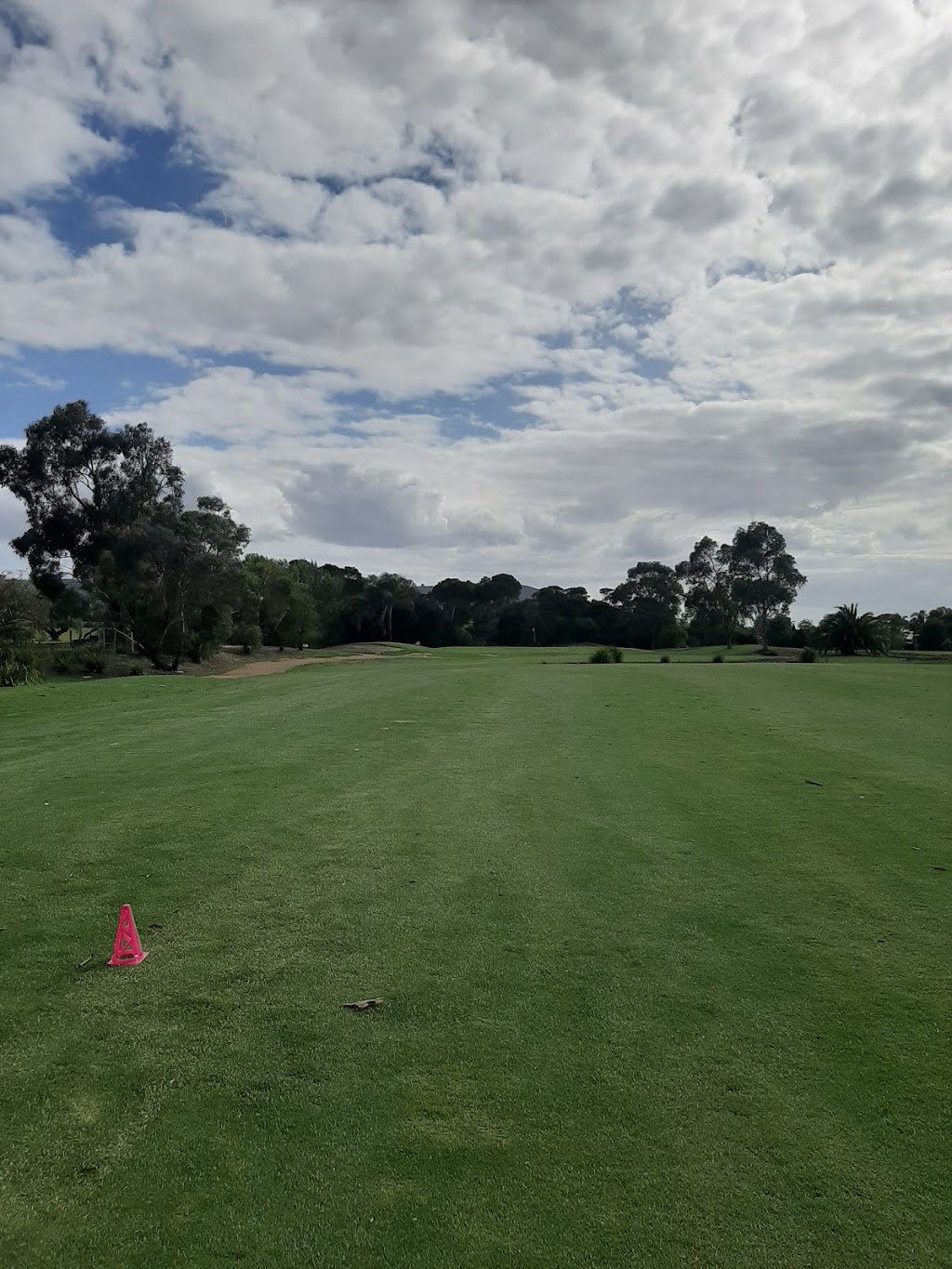 Safety Beach Golf Club | 10B Country Club Dr, Safety Beach VIC 3936, Australia | Phone: (03) 5981 0100