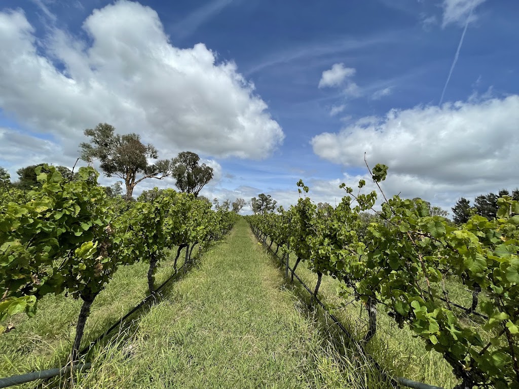 Four Winds Vineyard | bar | 9 Patemans Ln, Murrumbateman NSW 2582, Australia | 0262270189 OR +61 2 6227 0189