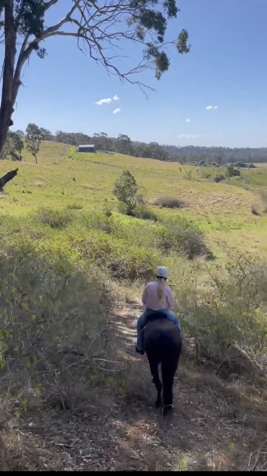 Herway horsemanship | 375 Burragorang Rd, Glenmore NSW 2570, Australia | Phone: 0478 191 104