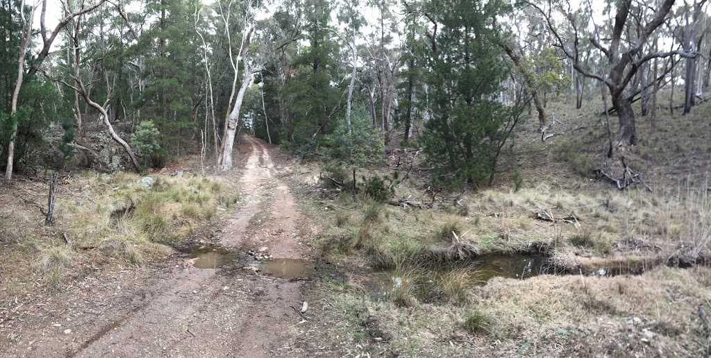 Mullions Range State Forest | park | Black Mountain Rd, Kerrs Creek NSW 2800, Australia