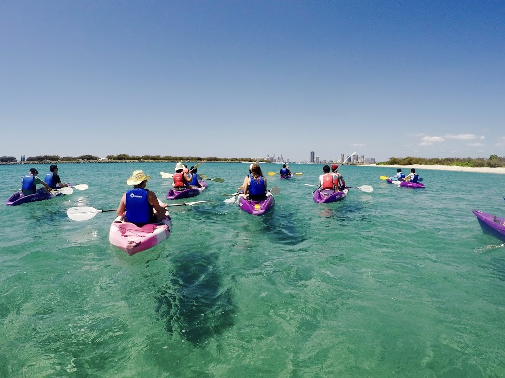 Australian Kayaking Adventures | travel agency | 13 River Dr, Surfers Paradise QLD 4217, Australia | 0412940135 OR +61 412 940 135