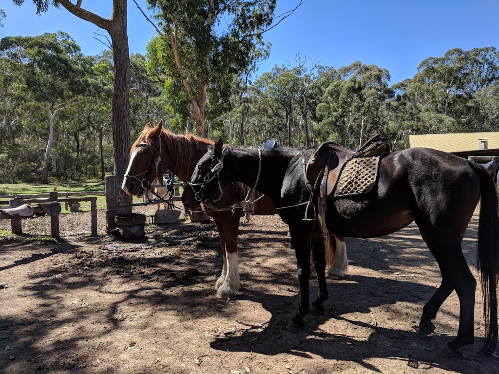 Megalong Valley Farm | 993 Megalong Valley Road, Megalong Valley NSW 2785, Australia | Phone: (02) 4787 8188