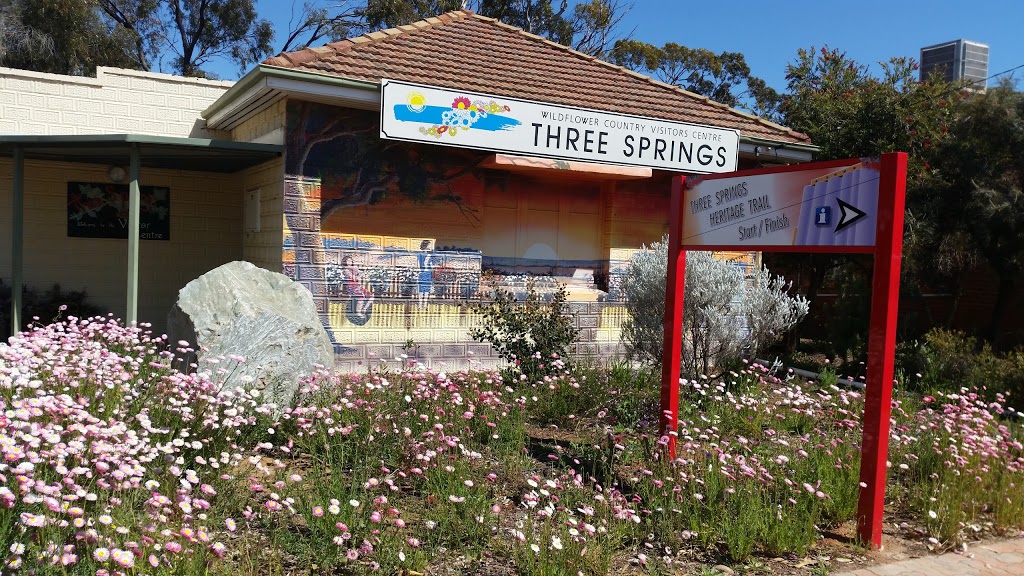 IGA Three Springs | 92 Railway Rd, Three Springs WA 6519, Australia | Phone: (08) 9954 1102