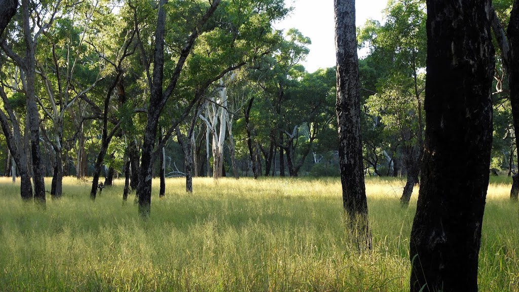 Louisa Creek Junction Day-Use Area | park | LOT 7 Cungelella Rd, Mantuan Downs QLD 4722, Australia