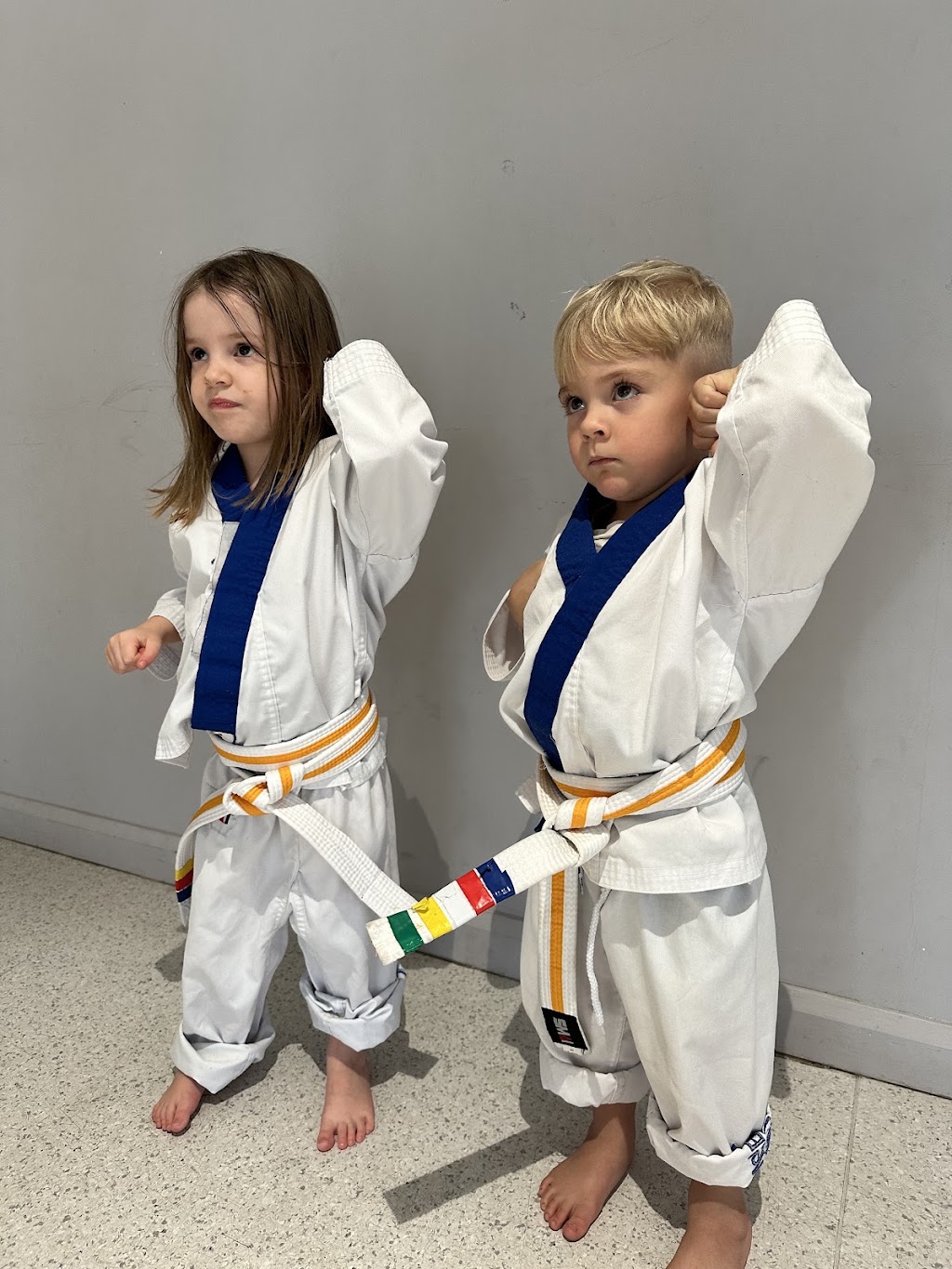 Martial Arts Spirit Emerald hill | 17 Emerald Hills Blvd, Leppington NSW 2179, Australia | Phone: 0411 274 807